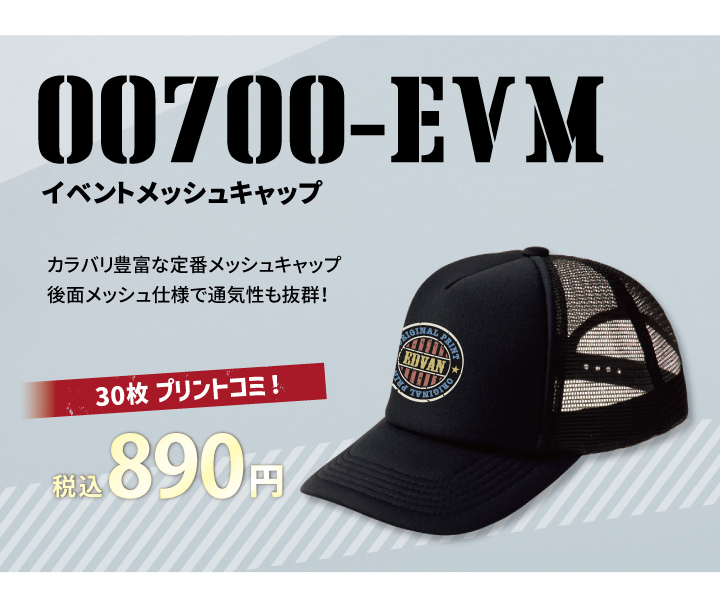 ߥߥѥå00700EVM