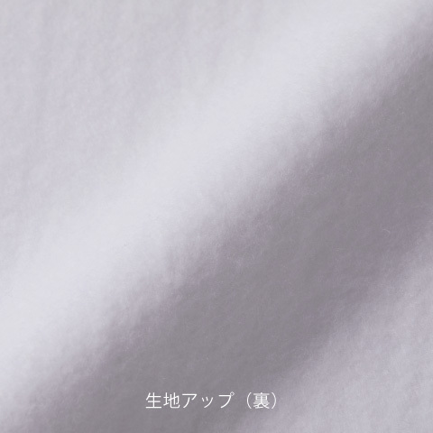 12.0オンス ヘヴィーウェイト クルーネック スウェット(裏起毛)