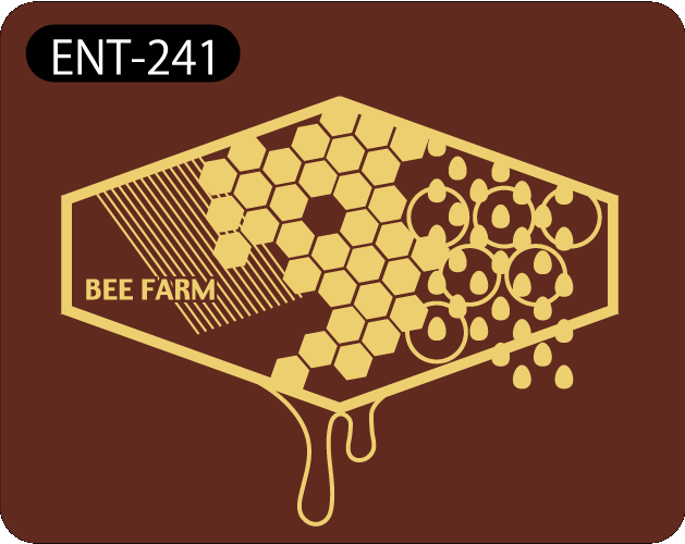 ENT-241