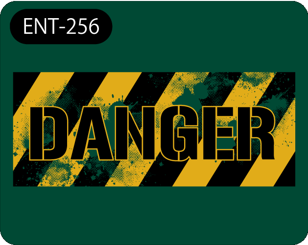ENT-256